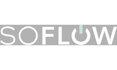 SoFlow elektrische step
