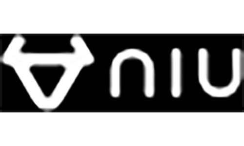 Niu elektrische step
